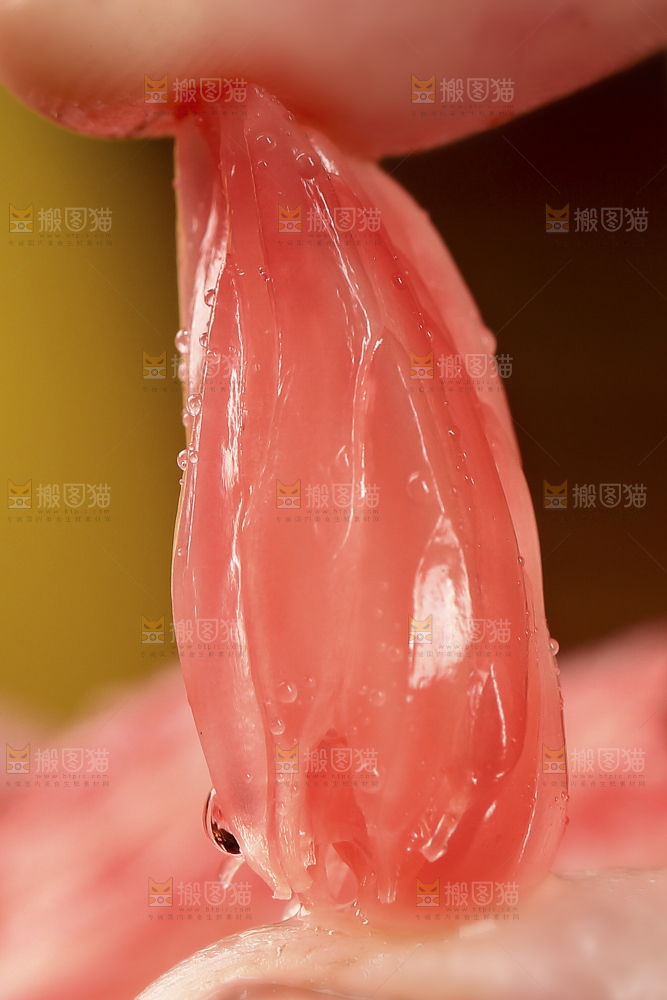 手里拿着红心蜜柚果粒