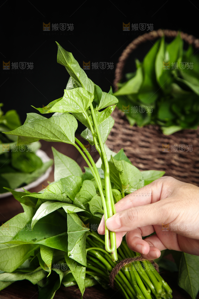 手里拿着红薯叶
