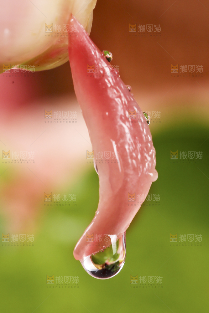 手里拿着红柚果粒