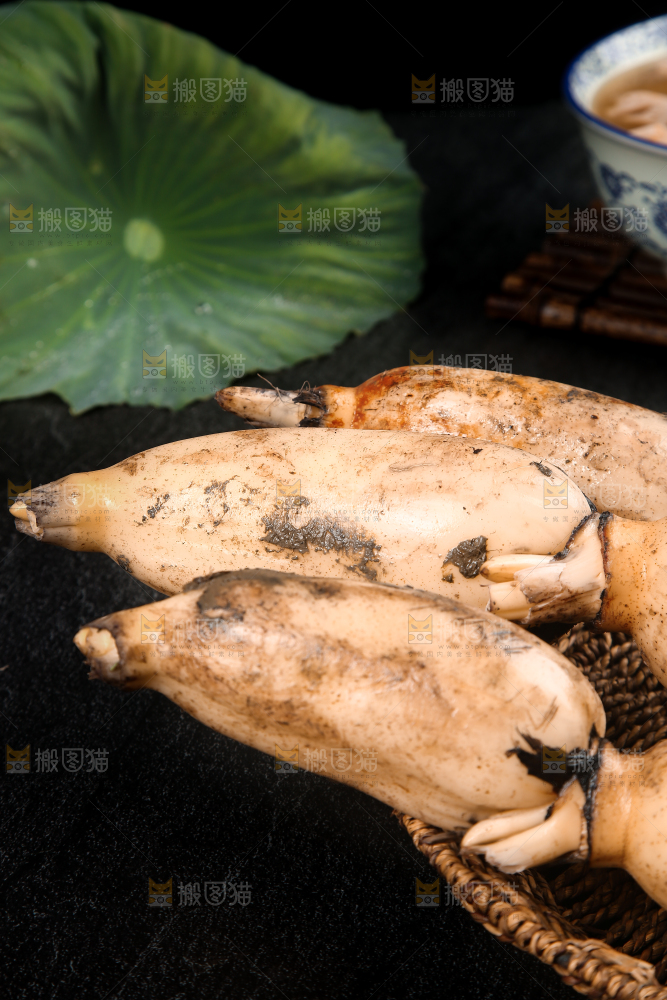篮子里的洪湖莲藕