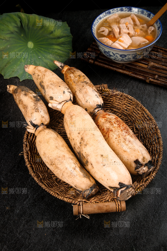 篮子里的洪湖莲藕