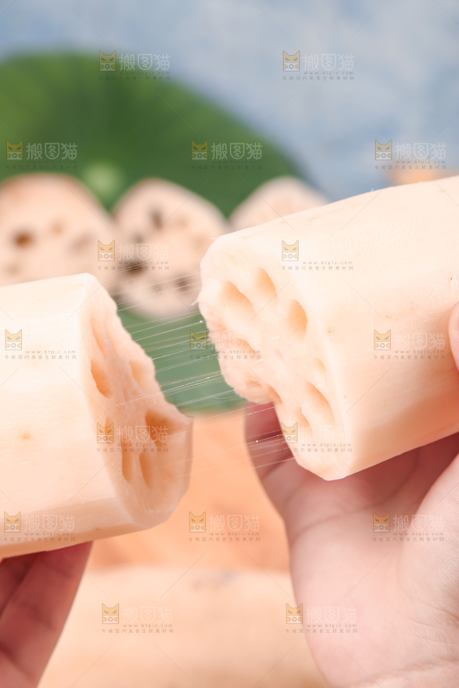 手上拿着两节莲藕