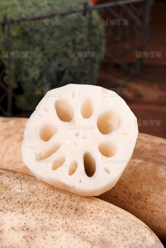 一堆湖北洪湖粉藕