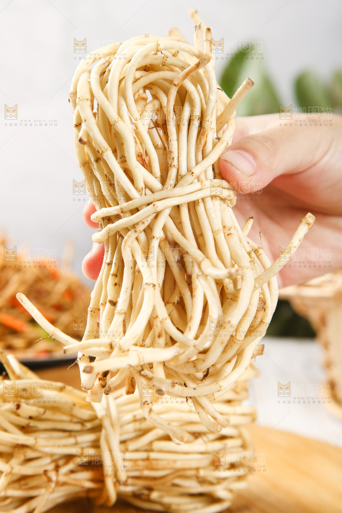 手里拿着鱼腥草