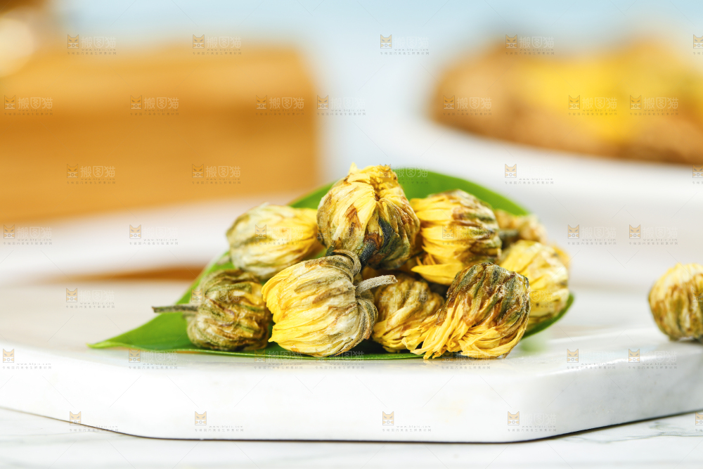 石垫上的胎菊