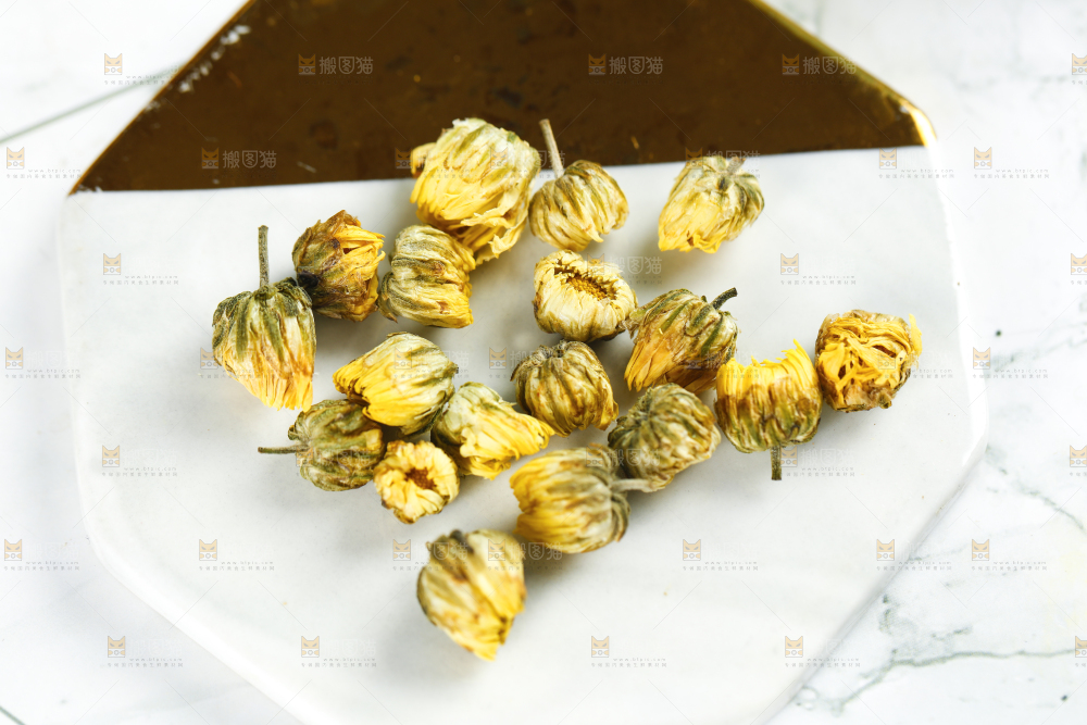 石垫上的胎菊