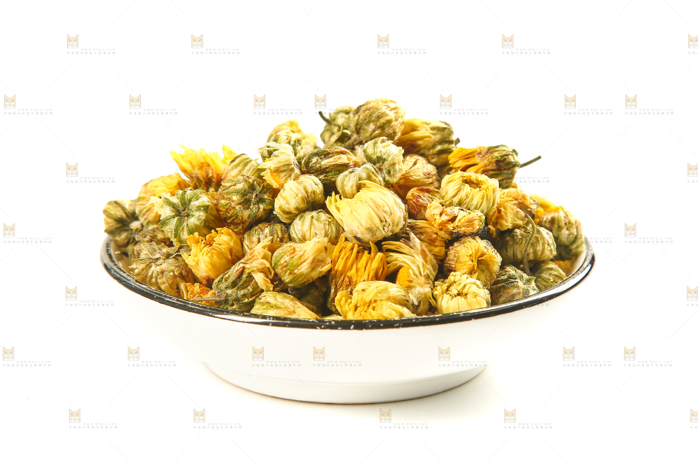 白底上放着一盘胎菊