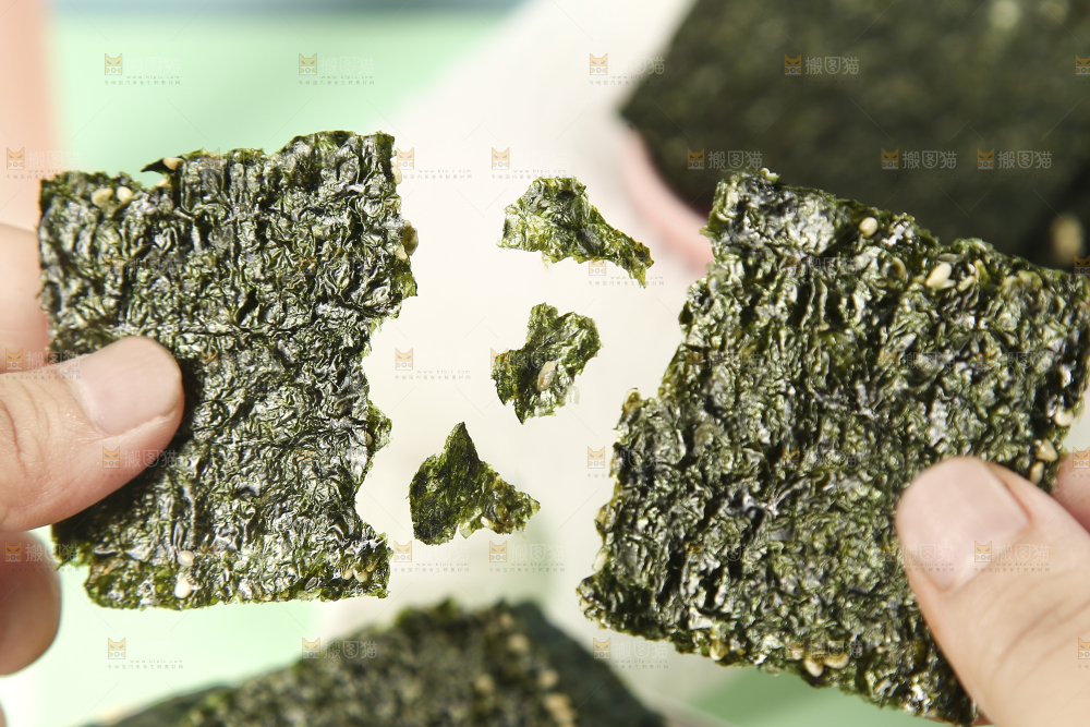 手里的海苔片