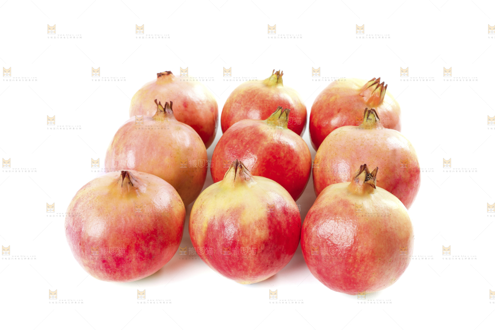 白底上的软籽石榴