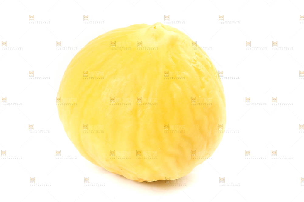 白底上的锥栗仁