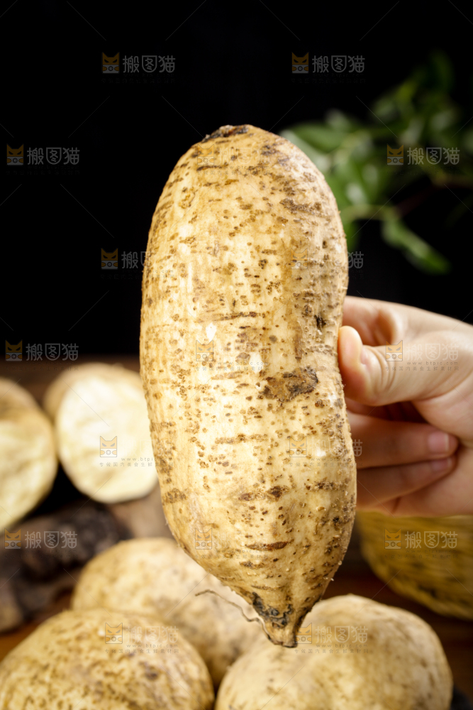 手里拿着甜薯
