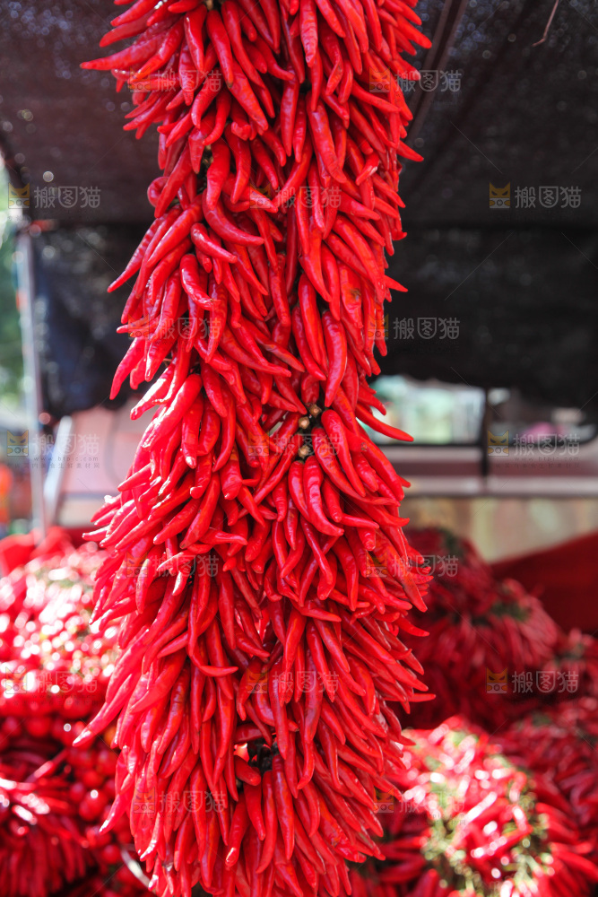 一大串红辣椒