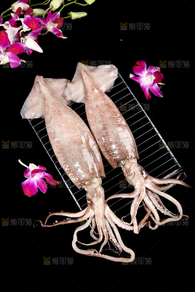 黑底上的鱿鱼