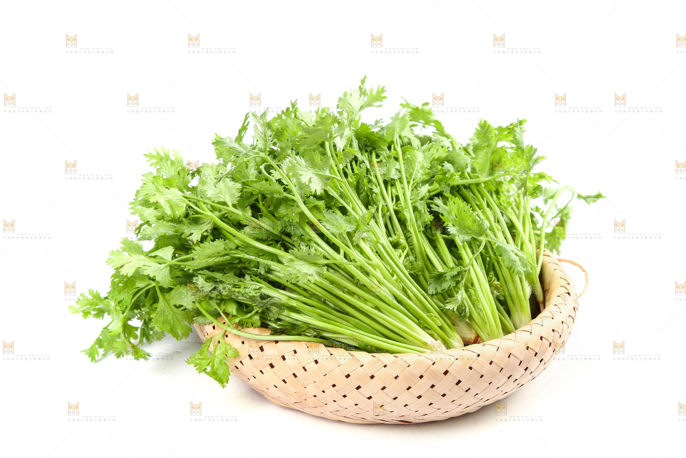 白底上的芹菜