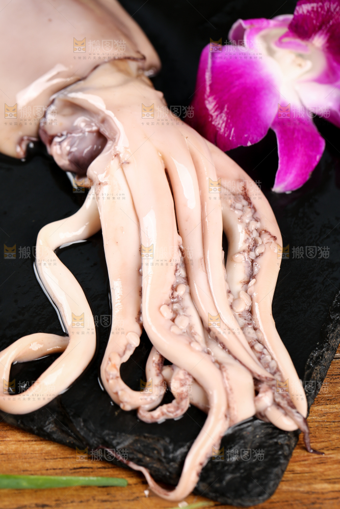 黑底上的鱿鱼