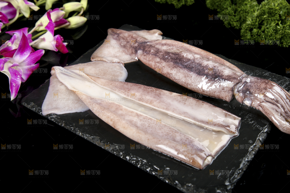黑底上的鱿鱼