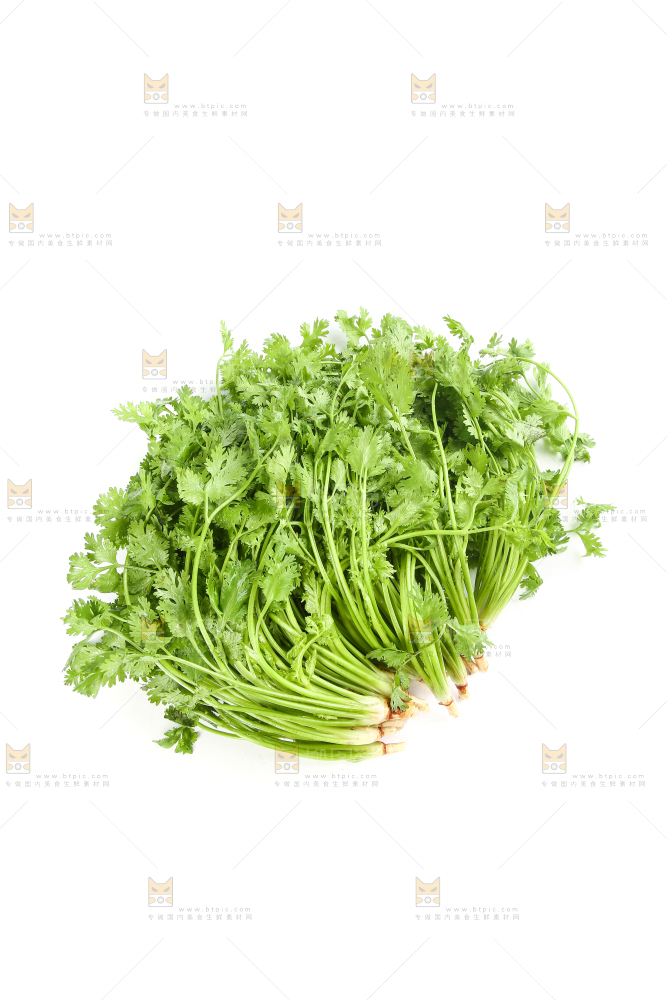 白底上的芹菜