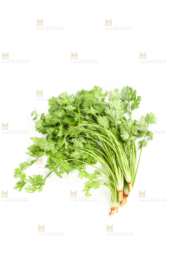 白底上的芹菜