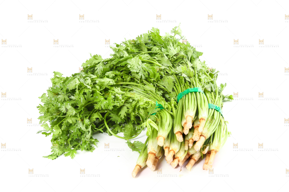 白底上的芹菜