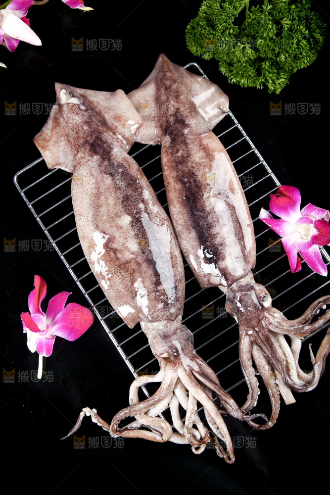 黑底上的鱿鱼