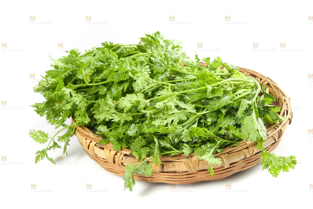 白底上的芹菜