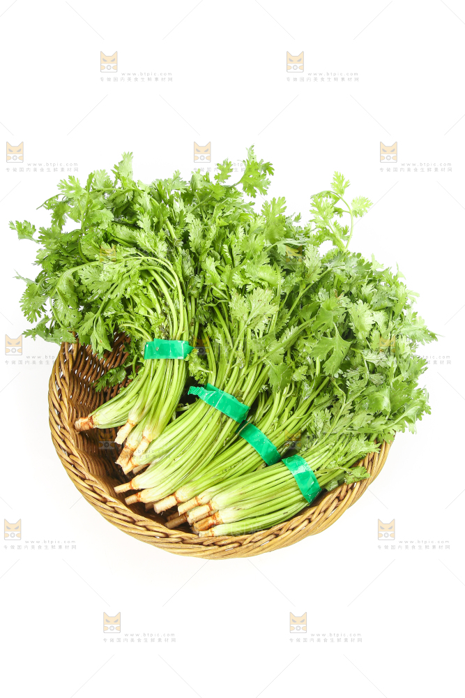 白底上的芹菜