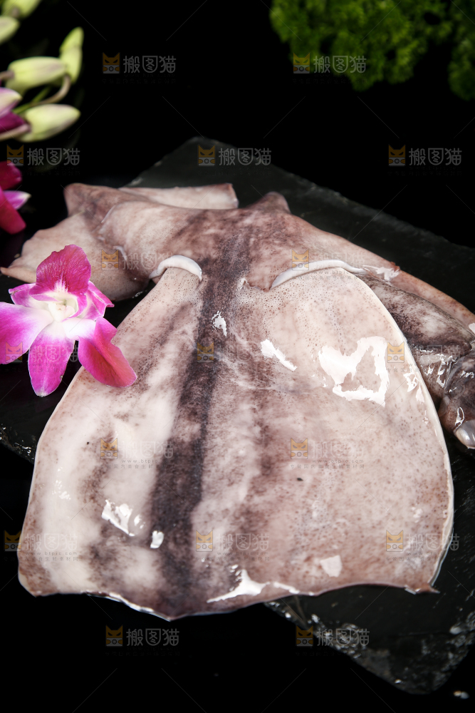 黑底上的鱿鱼