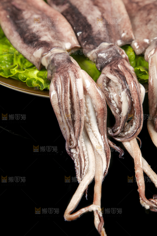 黑底上的鱿鱼
