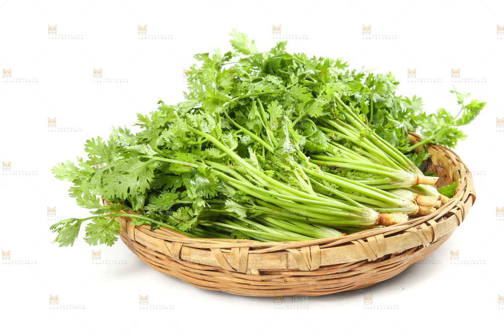 白底上的芹菜