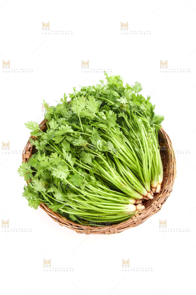 白底上的芹菜