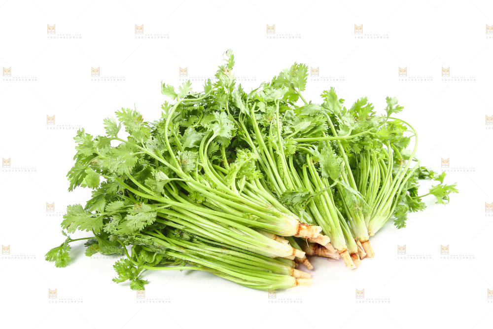 白底上的芹菜