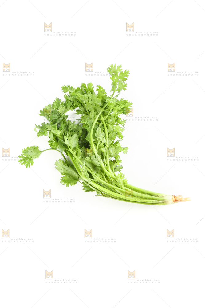 白底上的芹菜