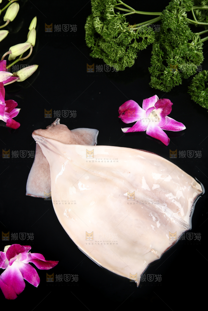 黑底上的鱿鱼