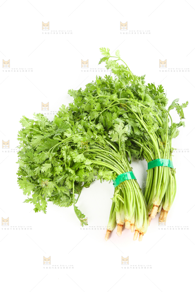 白底上的芹菜