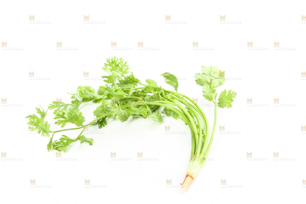 白底上的芹菜
