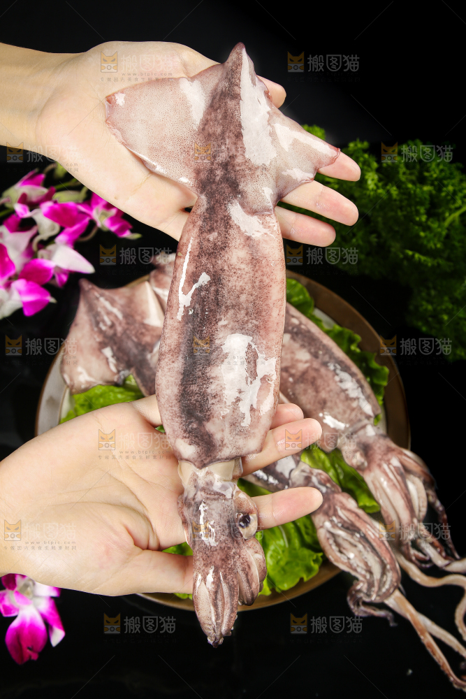 黑底上的鱿鱼