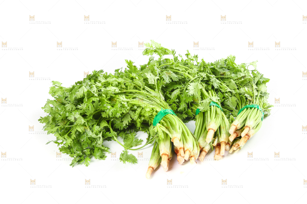 白底上的芹菜