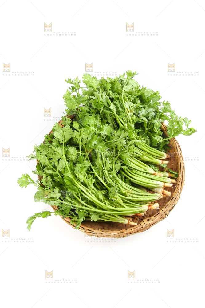 白底上的芹菜