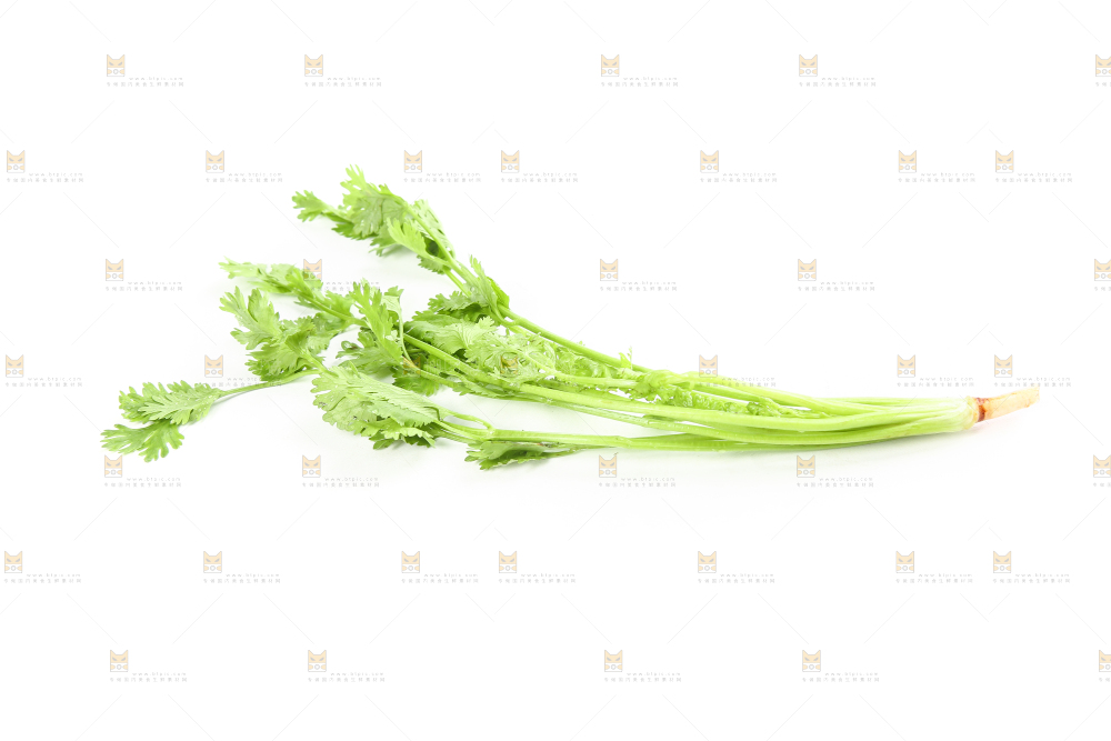 白底上的芹菜