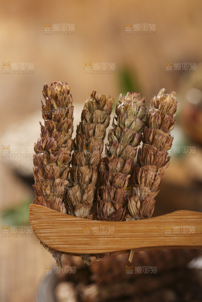 木底上的夏枯草