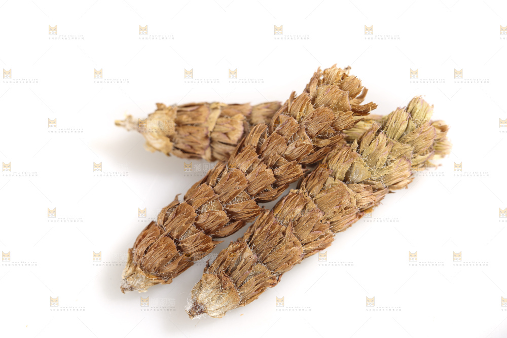 白底上放着夏枯草