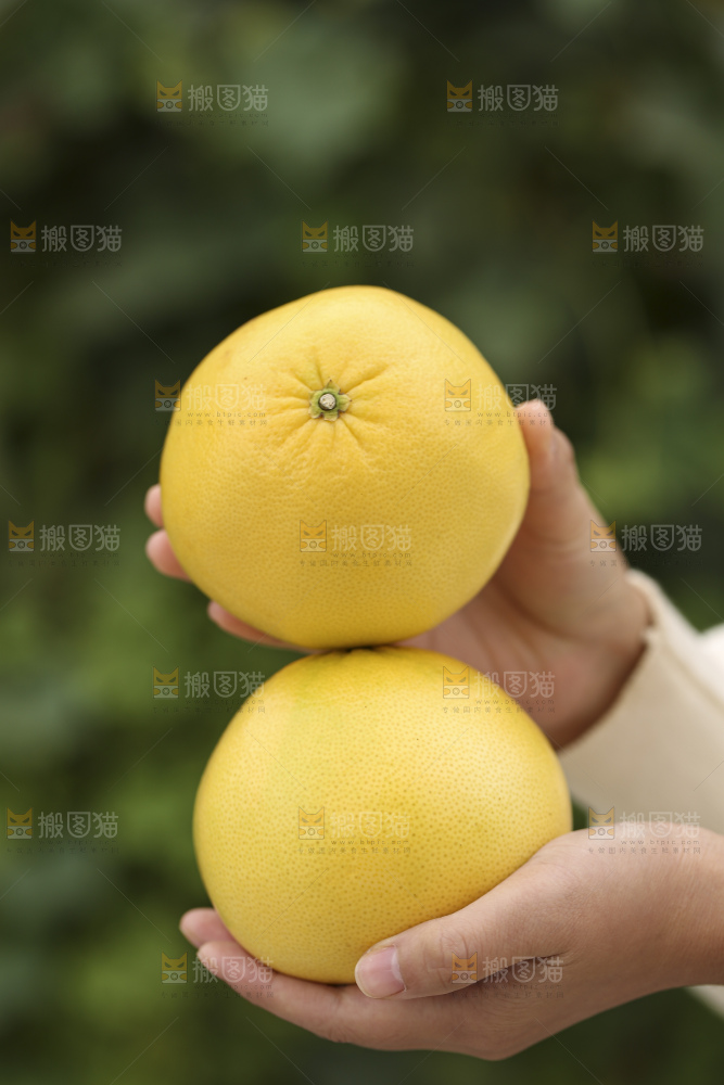 手里拿着黄金葡萄柚