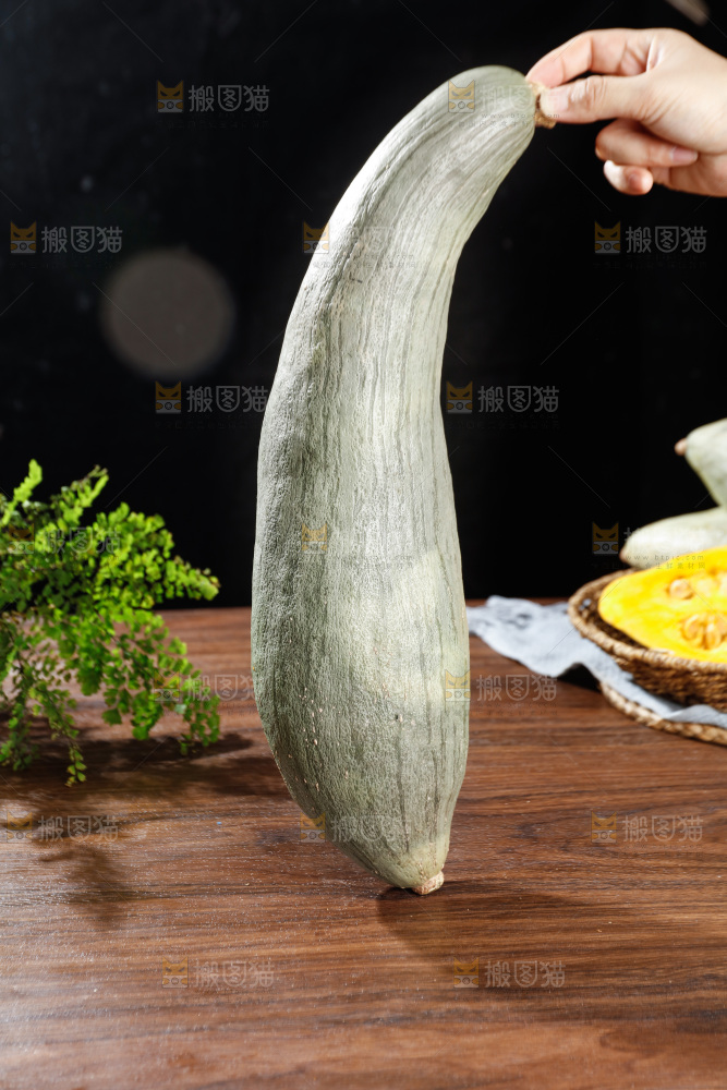 深底上的贵族南瓜