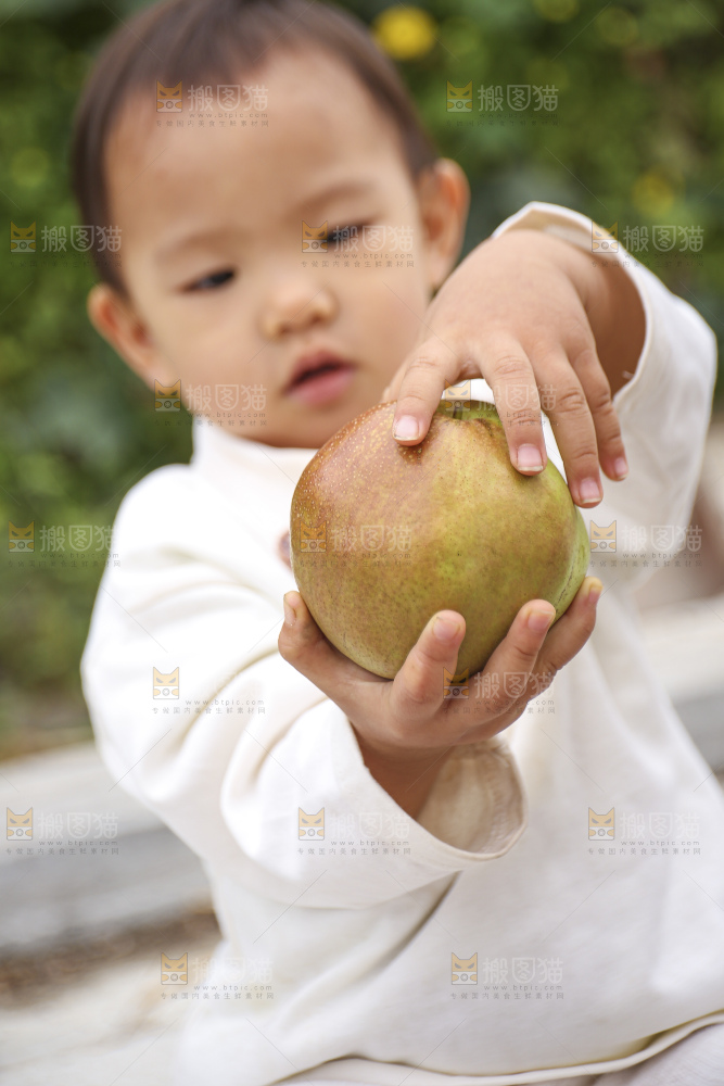手里拿着玉露香梨
