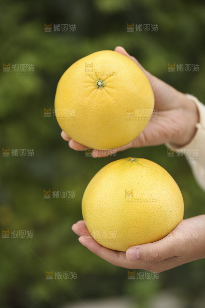 手里拿着黄金葡萄柚