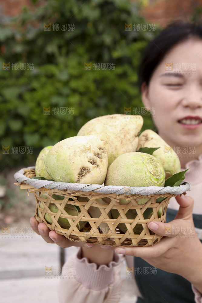 手里拿着大头芥菜