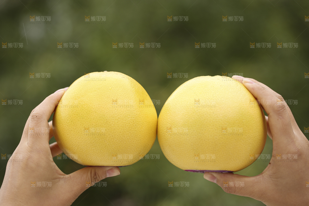 手里拿着黄金葡萄柚