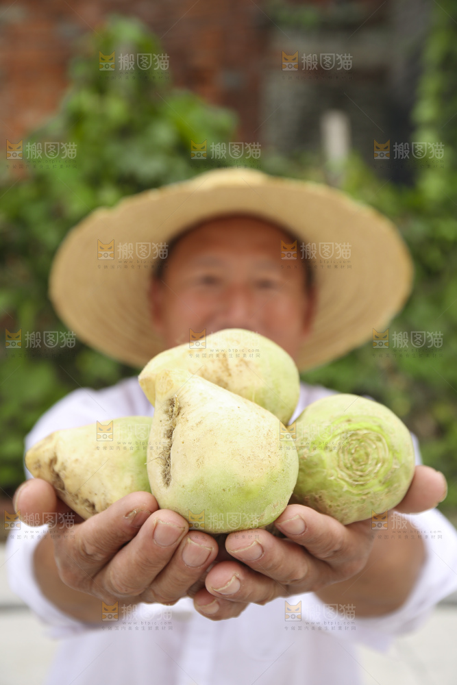 手里拿着大头芥菜