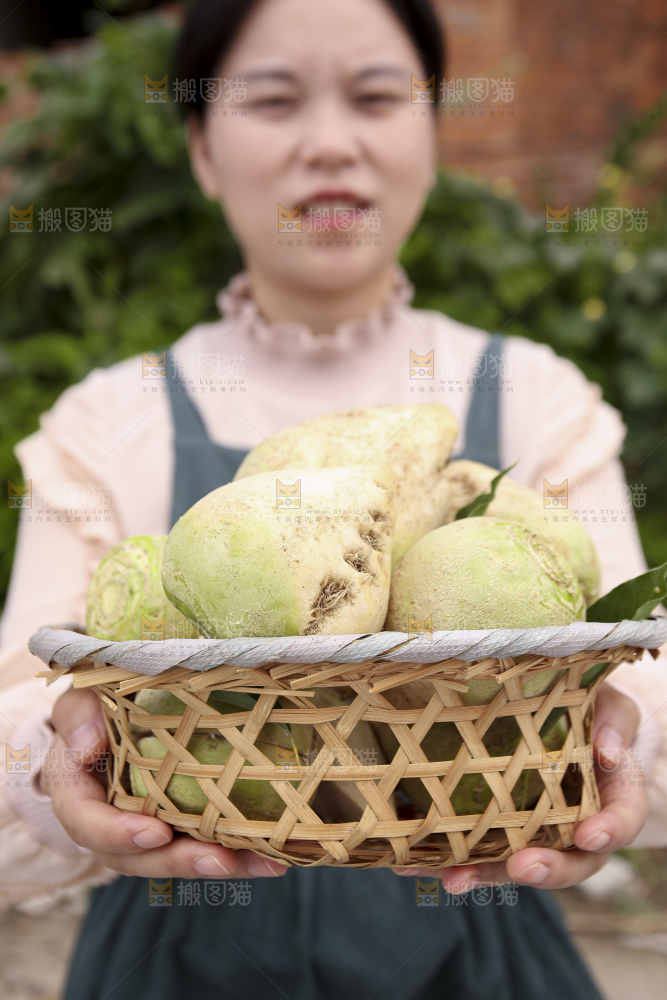 手里拿着大头芥菜