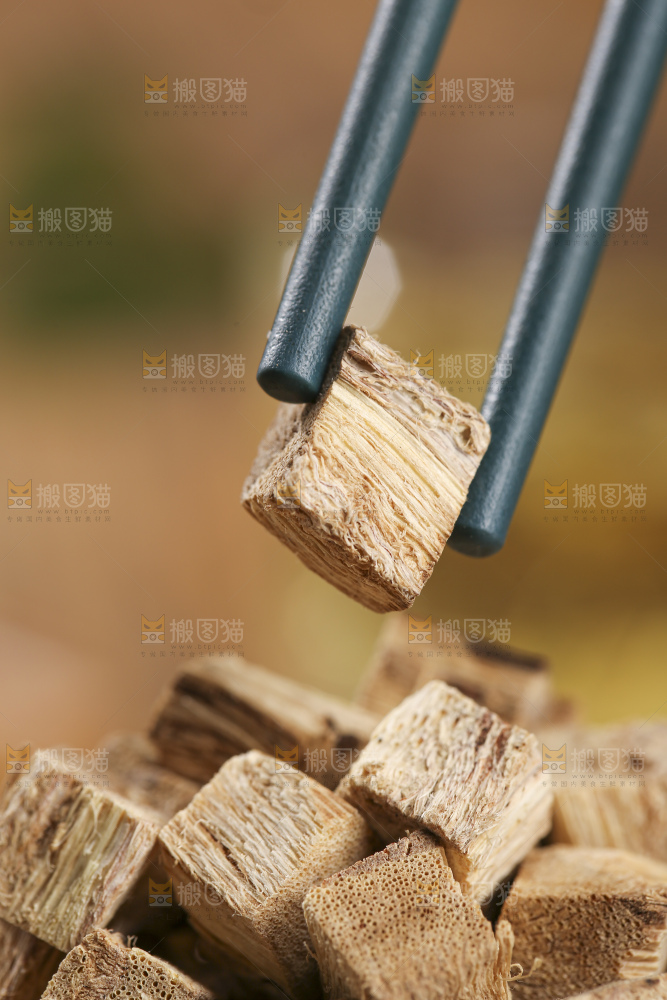木底上的葛根